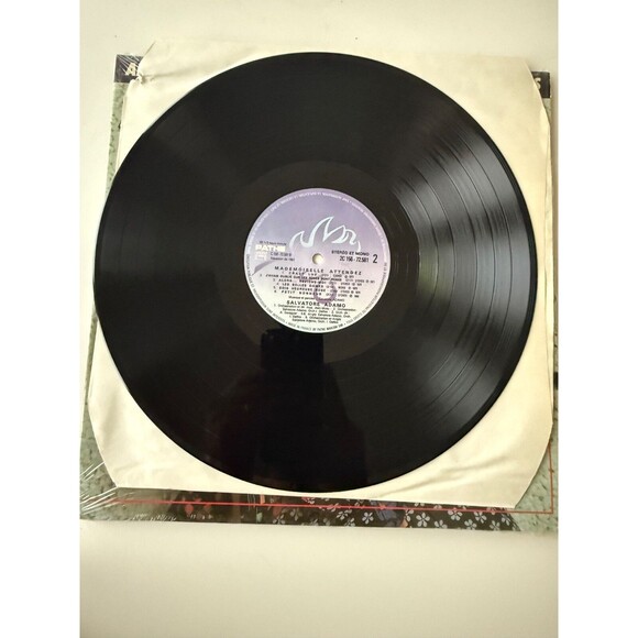 Salvatore Adamo 2 LP Mademoiselle Attendez 1982 Pathe Records Import France EX - Picture 6 of 11